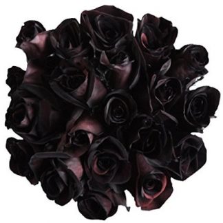 12 Fresh Cut Black Roses